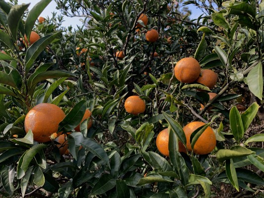 이미지 상세보기