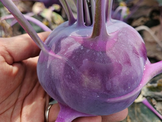 이미지 상세보기