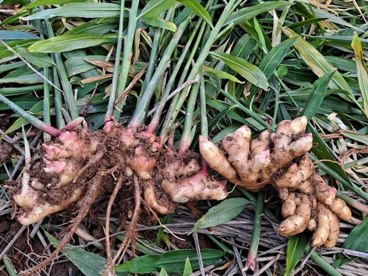 이미지 상세보기