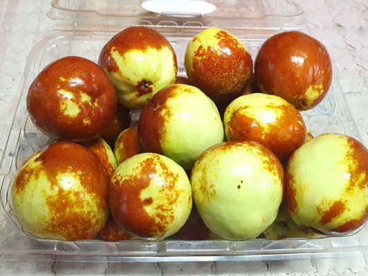 이미지 상세보기