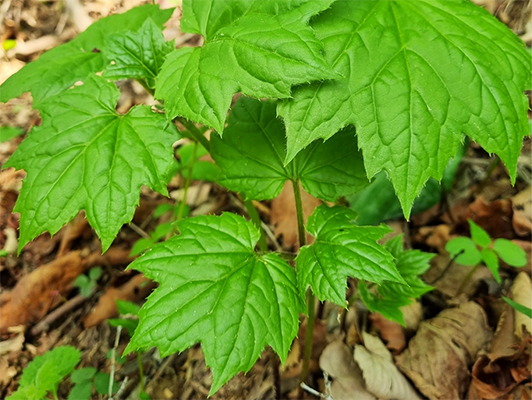 이미지 상세보기
