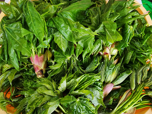 이미지 상세보기