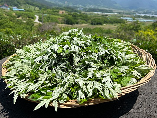 이미지 상세보기