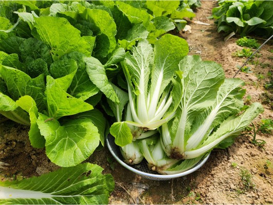 이미지 상세보기