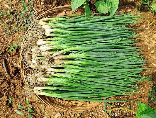 이미지 상세보기