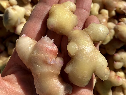 이미지 상세보기