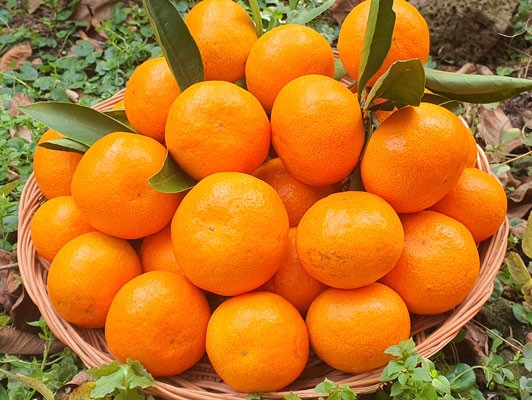 이미지 상세보기