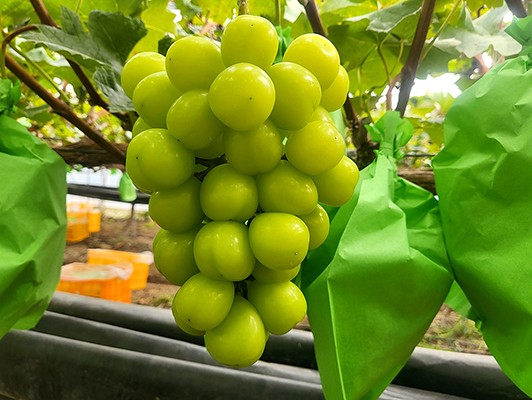 이미지 상세보기