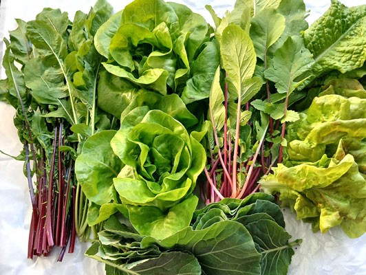 이미지 상세보기