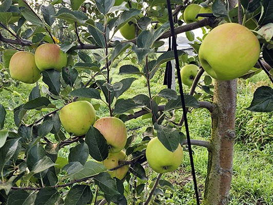 이미지 상세보기