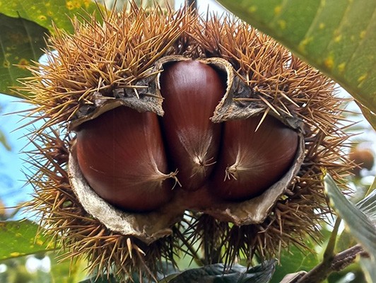 이미지 상세보기