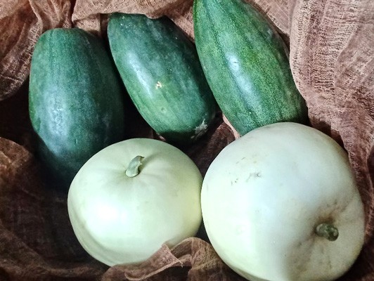 이미지 상세보기