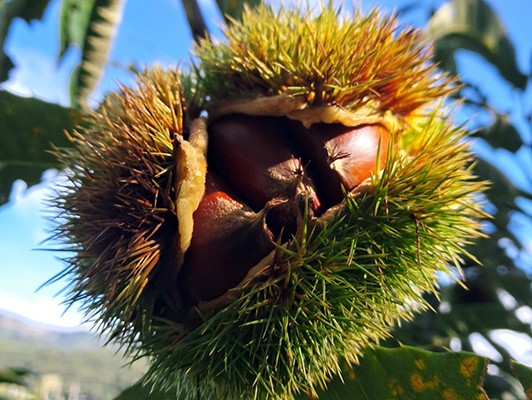 이미지 상세보기