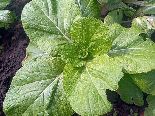 이미지 상세보기