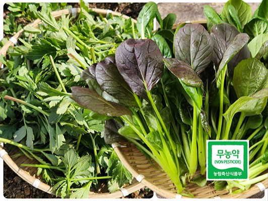 이미지 상세보기