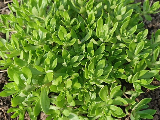 이미지 상세보기