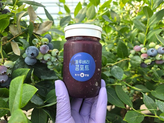 이미지 상세보기