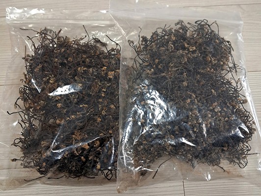 이미지 상세보기