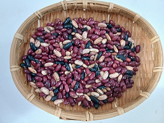 이미지 상세보기