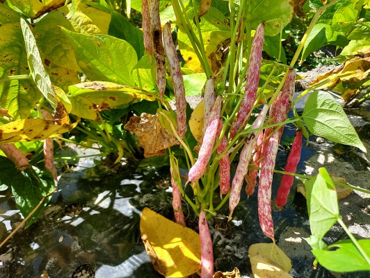 이미지 상세보기