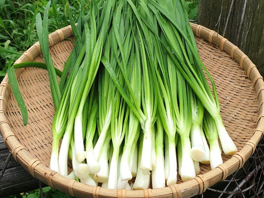 이미지 상세보기