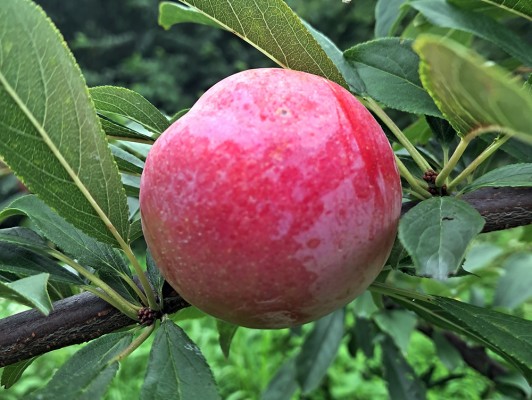 이미지 상세보기