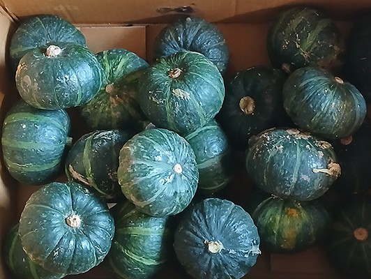이미지 상세보기