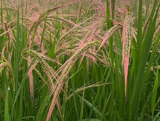 이미지 상세보기