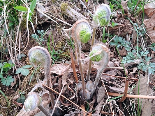 이미지 상세보기