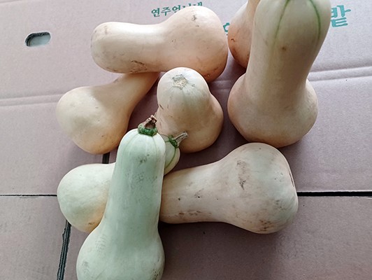 이미지 상세보기