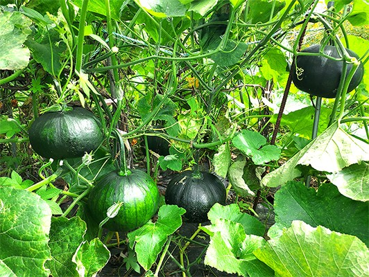 이미지 상세보기