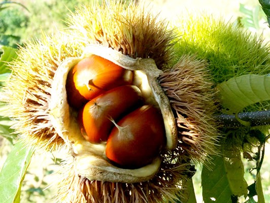 이미지 상세보기