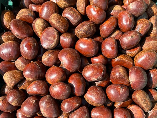 이미지 상세보기