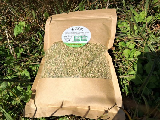 이미지 상세보기 이미지 상세보기