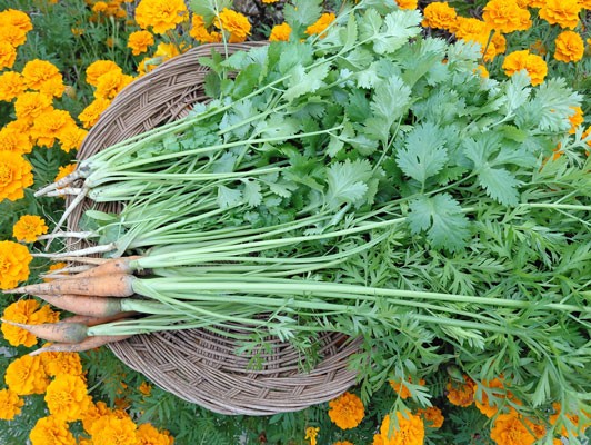 이미지 상세보기