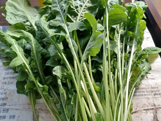 이미지 상세보기