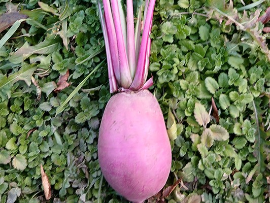 이미지 상세보기