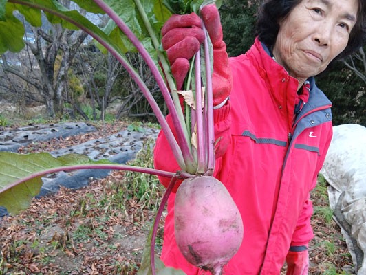이미지 상세보기