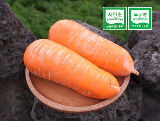 이미지 상세보기