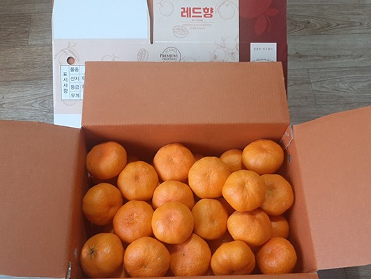 이미지 상세보기