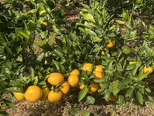 이미지 상세보기