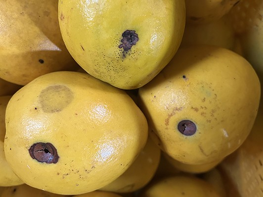 이미지 상세보기