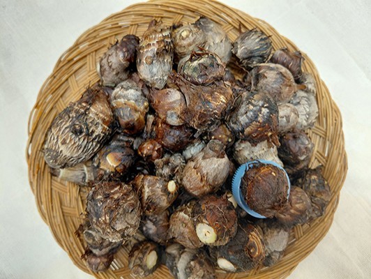 이미지 상세보기