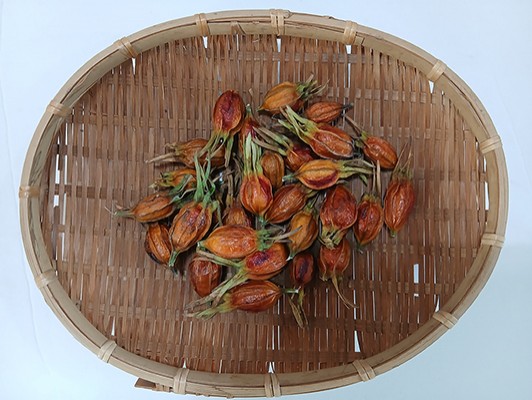 이미지 상세보기