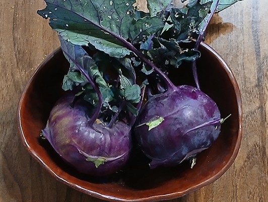 이미지 상세보기