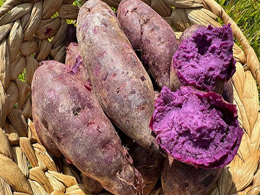 이미지 상세보기