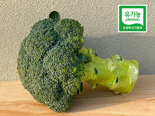 이미지 상세보기