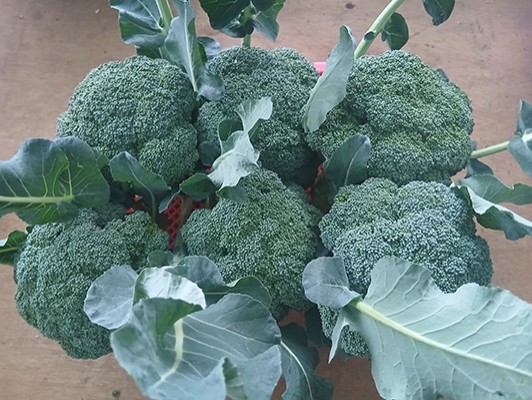 이미지 상세보기