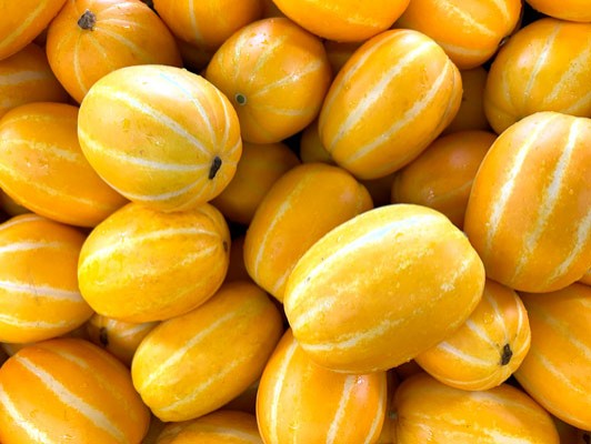 이미지 상세보기