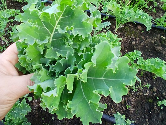 이미지 상세보기